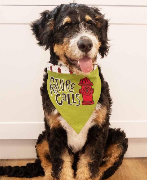 Small Nature Calls Dog Bandana