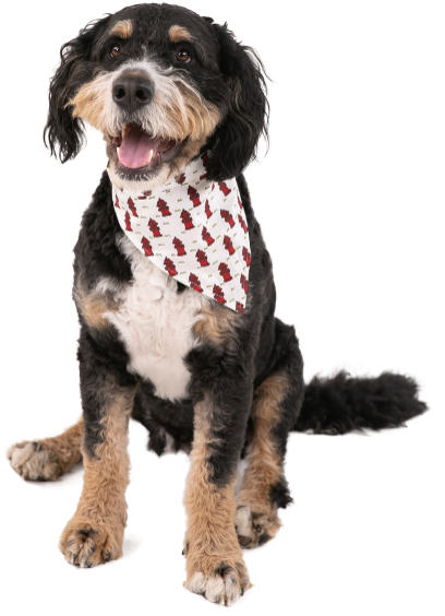 Small Nature Calls Dog Bandana
