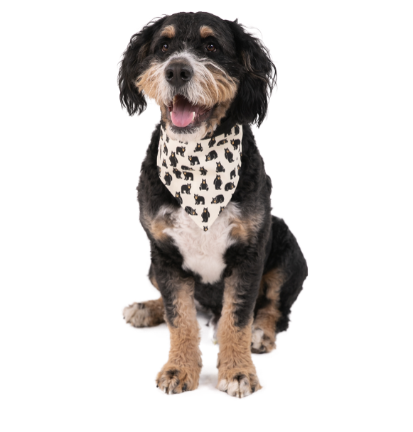 Medium Fur Baby Dog Bandana