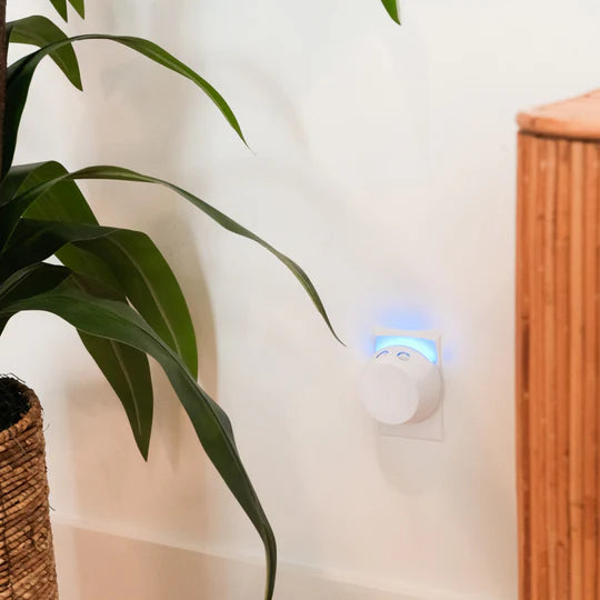 Pura + Bridgewater Sweet Grace Kit - Ascension Golf Carts, LLC