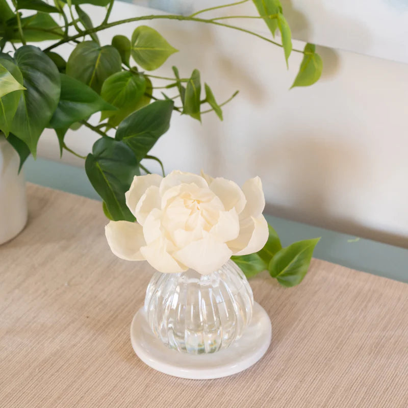Greenleaf - Cashmere Kiss Flower Diffuser