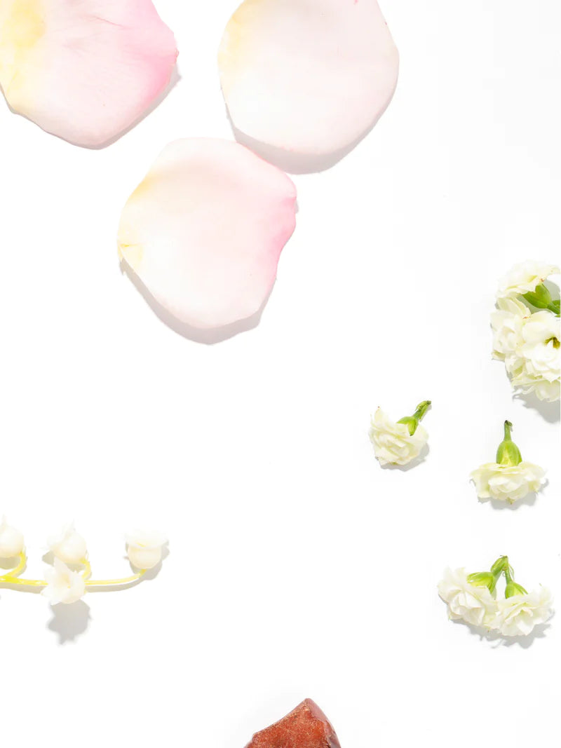 Pura Atmosphere Becki Owens - Ascension Golf Carts, LLC