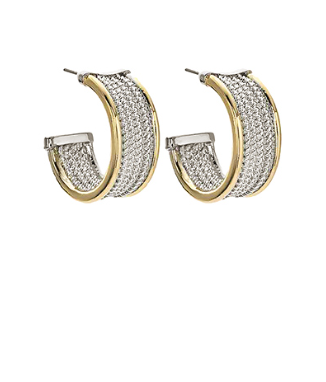 GS - Silver and Gold Hoop Earrings
