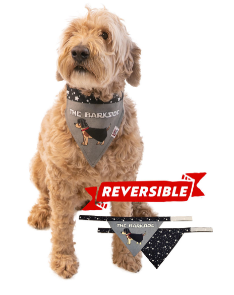 Small Bark Side Dog Bandana